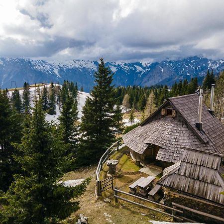 Alpine Chalet Velika Planina - Irenca - I Feel Alps Stahovica 外观 照片